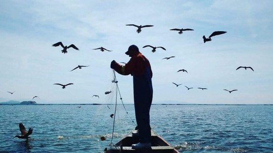 Lula publica MP que endurece regras para concessão do seguro-defeso Lula publica MP que endurece regras para concessão do seguro-defeso